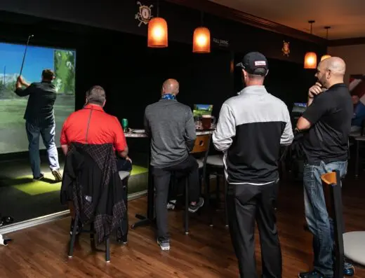 AVID Indoor Golf