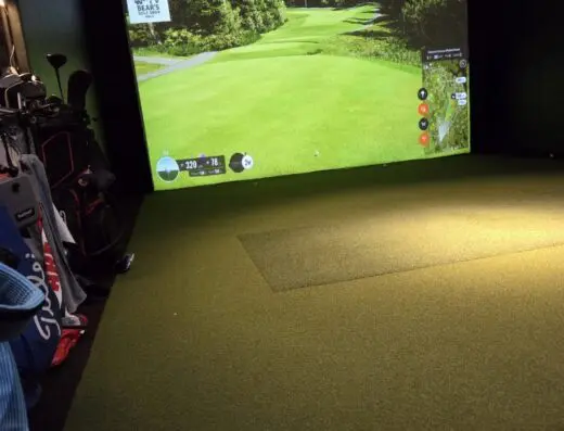 Bear’s Virtual Golf
