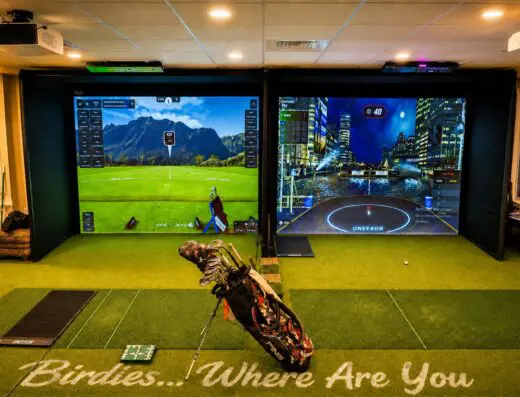 Inside Birdies… Where Are You - indoor golf in Hardy, VA