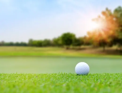 Bogeys Golf Simulator