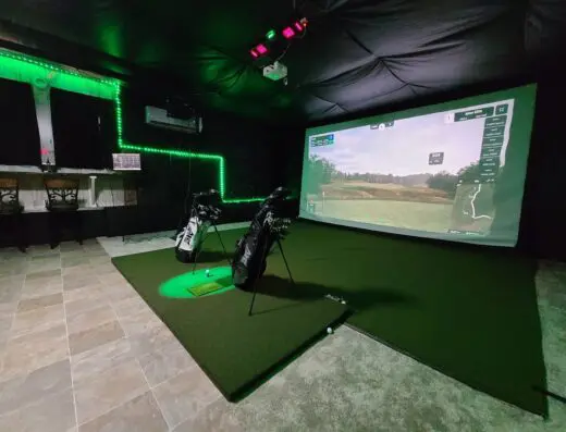 THE BALLISTIC BIRDIE